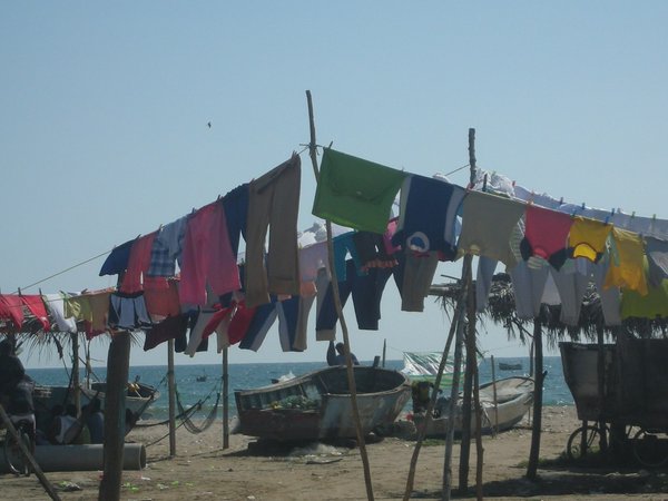 Seafront Clotheslines