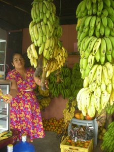 Buying Bananas in Cojimies