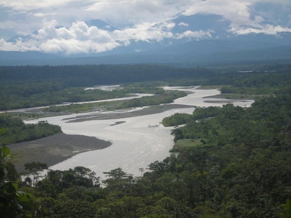 Amazon Basin Viewpoint