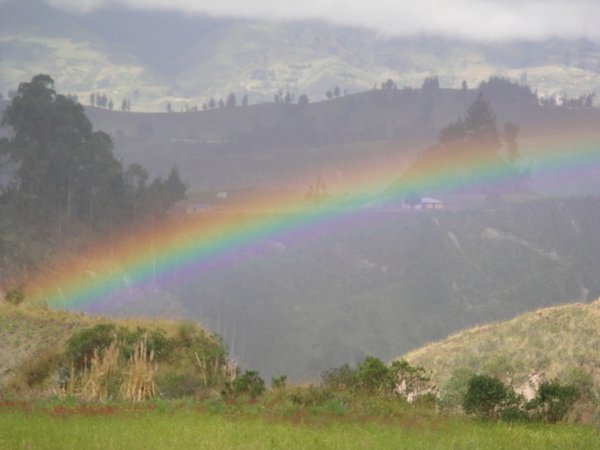 Andean Rainbow