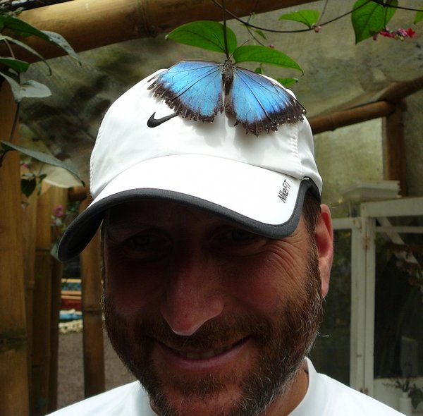 Bob's Butterfly Buddy