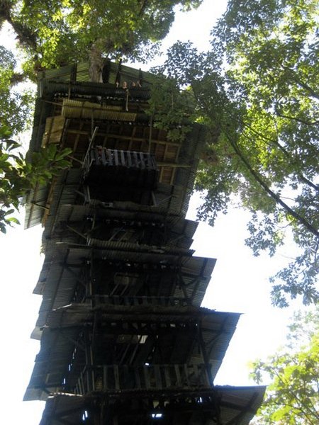 Amazing Treehouse