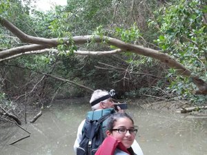 Floating thru the Mangroves