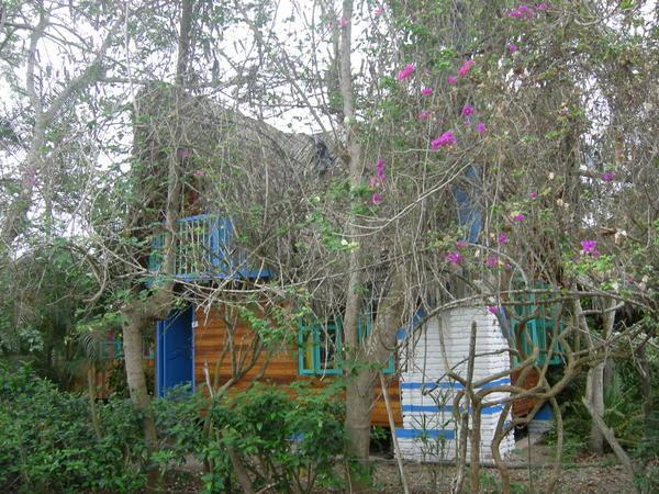 my cabana with bougainvillas