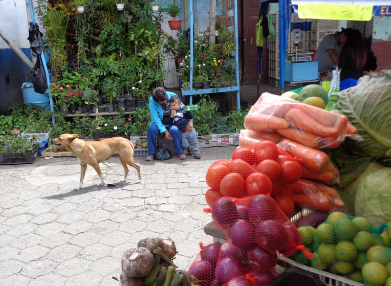 Glimpsed at Otavalo Market
