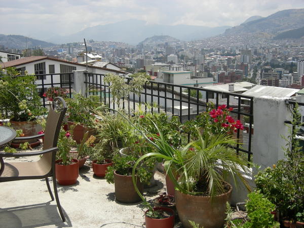 Flowery Quito Terrace