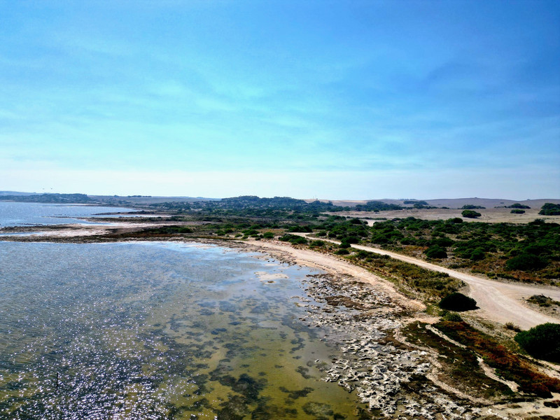 THE COORONG