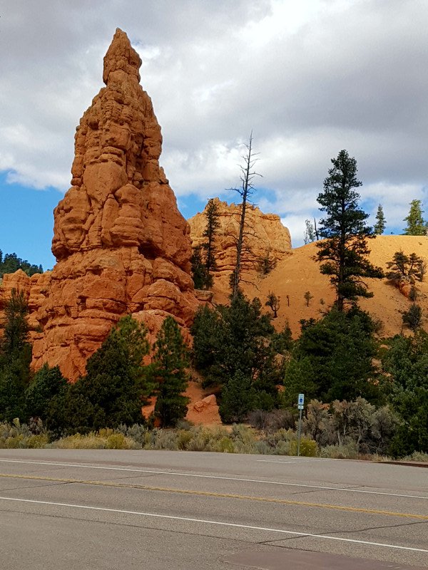 RED CANYON
