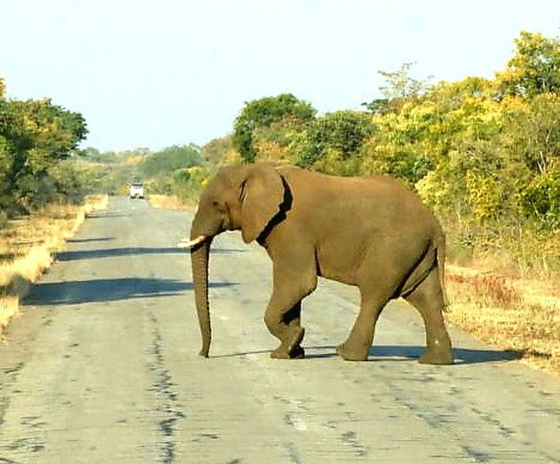 Highway enroute to Botswana
