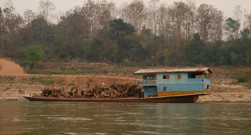 River boat - tree stump collector