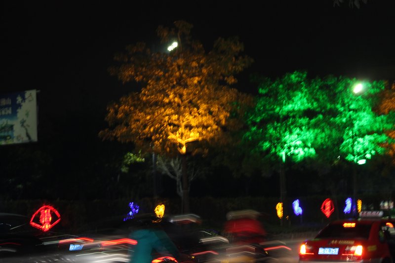 alberi illuminati 