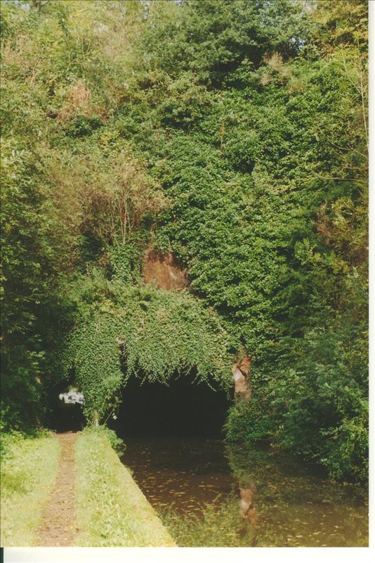 Leafy tunnel