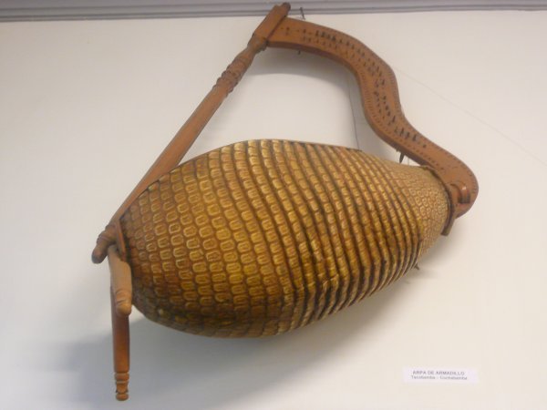 Armadillo Instrument