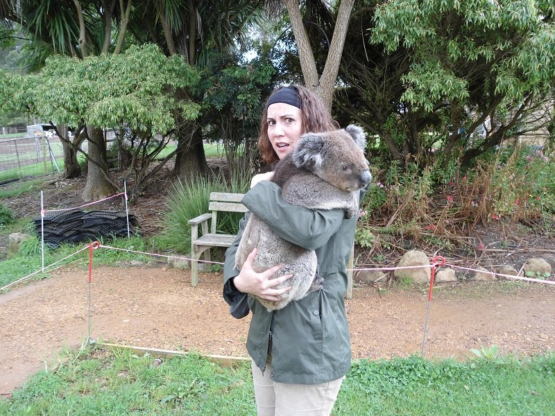 Le koala fait flipper Marion