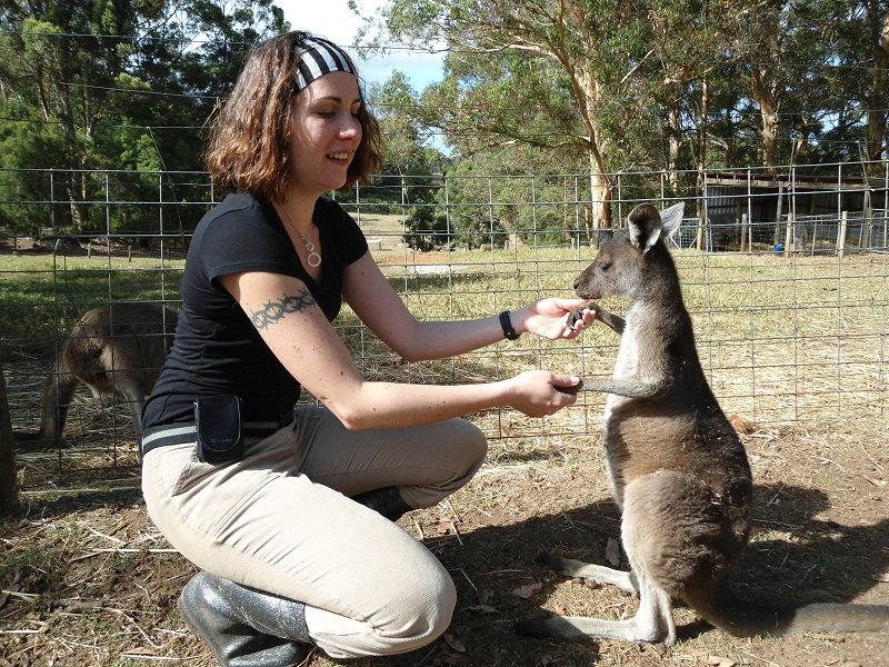Marion fait ami-ami avec un petit kangourou