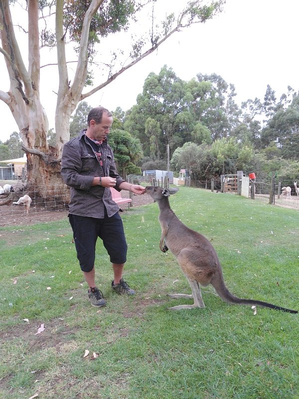 Nico donne une noix à un kangooroo