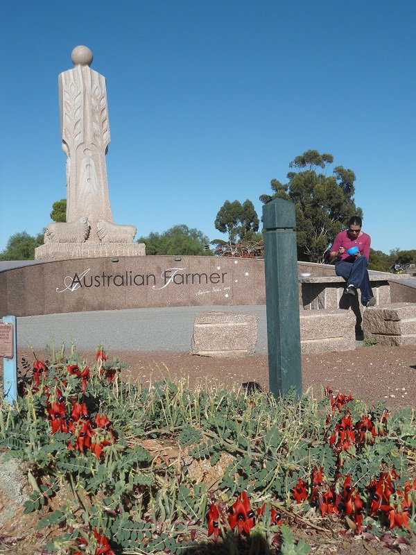 La Statue de l'Australian Farmer