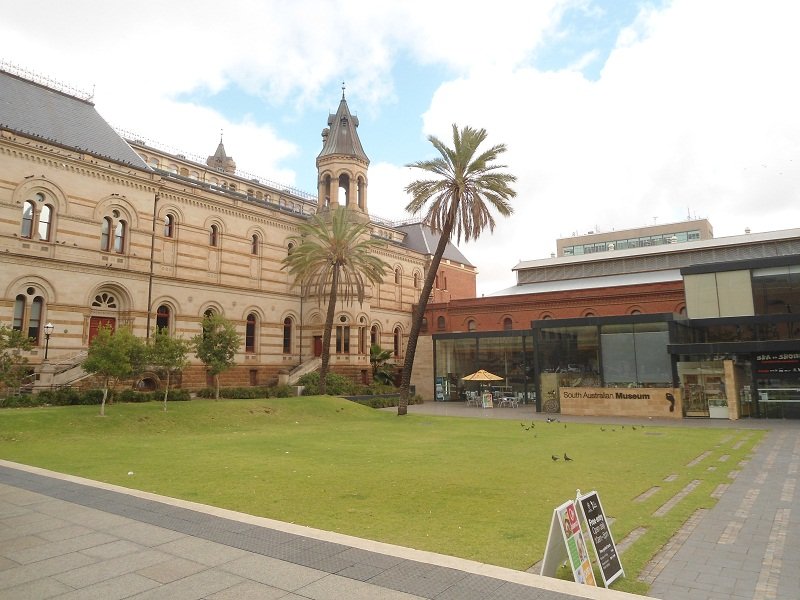 Le South Australian Museum