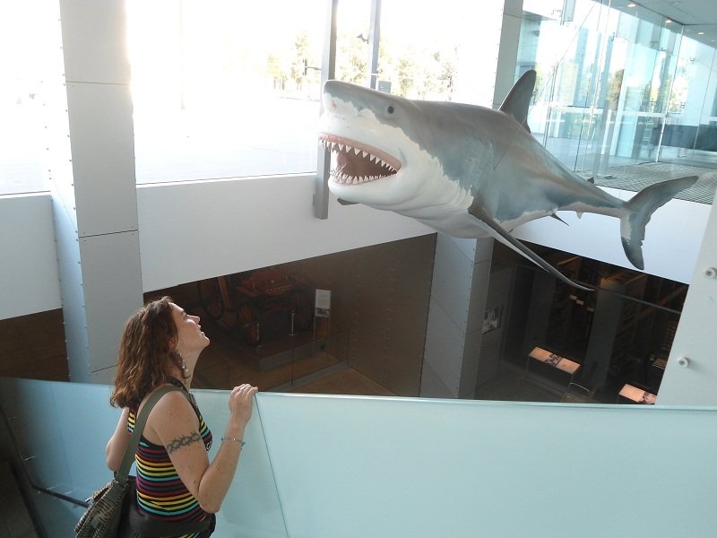Marion et son ami le requin