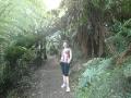 Marche en rain forest