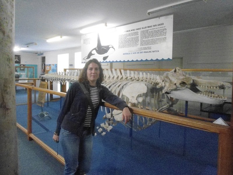 Au Killer whale museum d'Eden