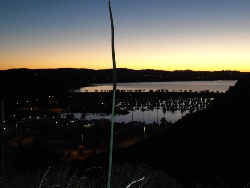 Roselyn Bay by night