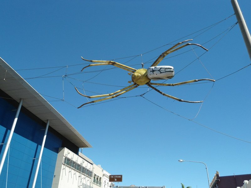 The Big Spider à Townsville