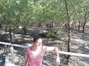 Dans la mangrove