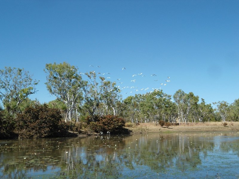 Cockatoo Lagoon