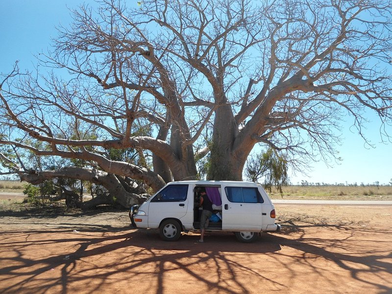 Pause à l'ombre d'un baobab