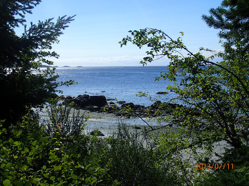 view of the beach from the woods