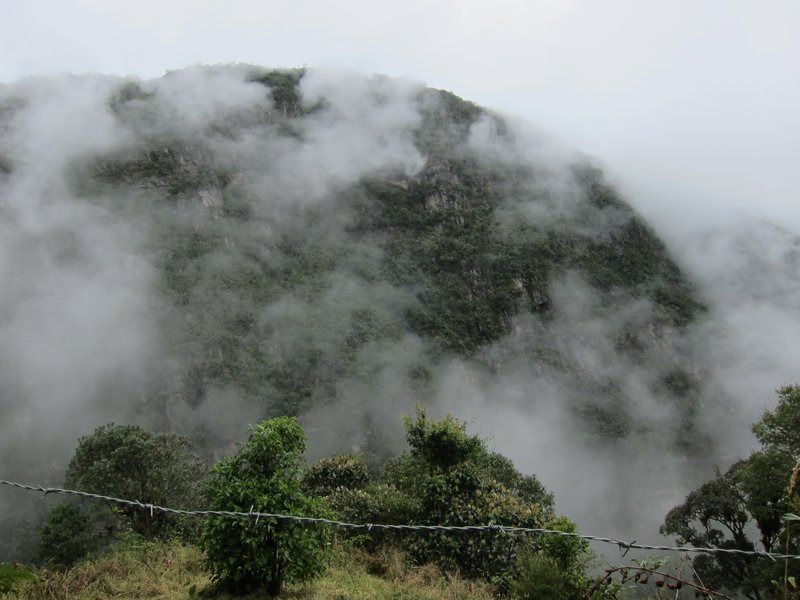 The cliff face shrowded by mist