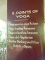 5 point of yoga