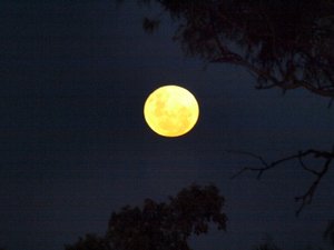 Moon over Winton