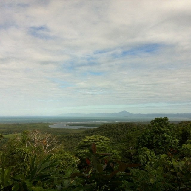 Lookout over the Daintree
