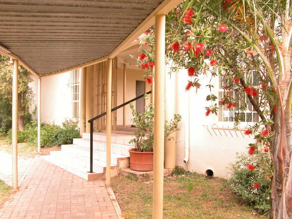 Courtyard entrance and bottlebrush tree