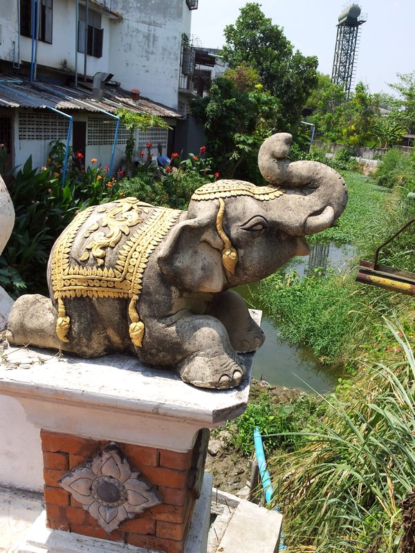 elephants are everywhere in chiang mai