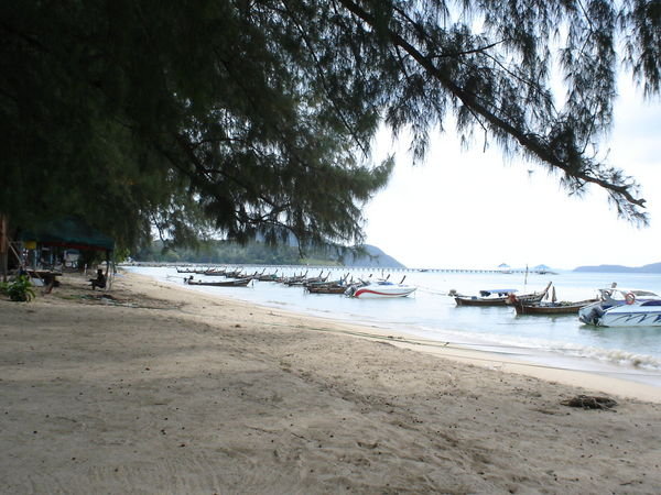 longboats and pines on Rawai Beach