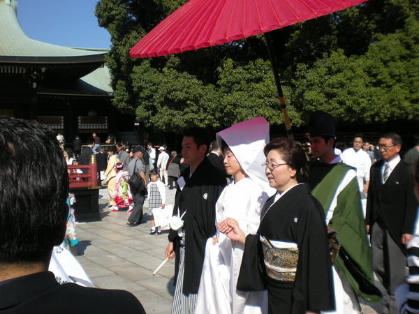 Shinto Wedding at Meiji