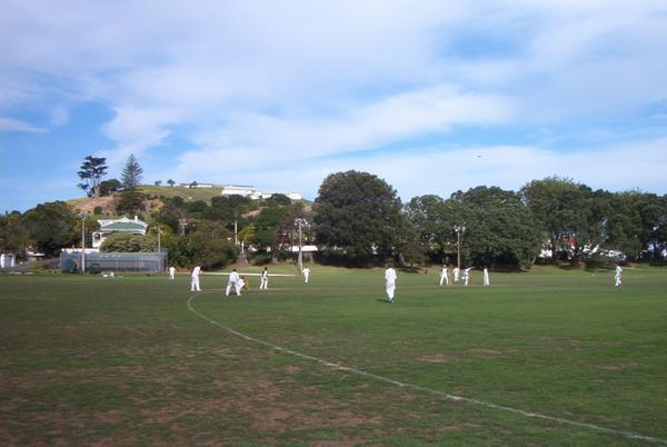 Cricket in Devonport's Domain