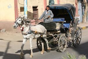 Carriage Taxi