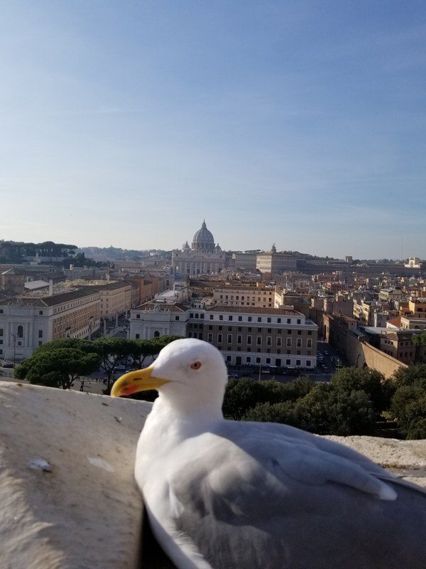 Best view from Castel Sant 'Angelo