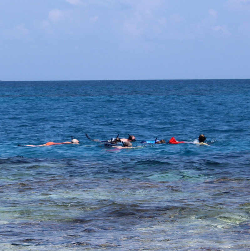 Snorkeling at Silk Caye