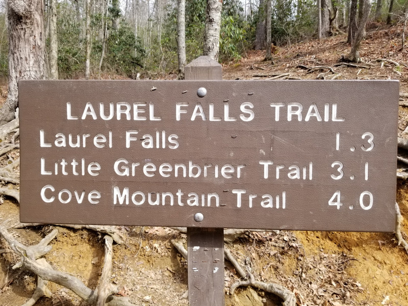 Great Smokey Mountains Laurel Falls 