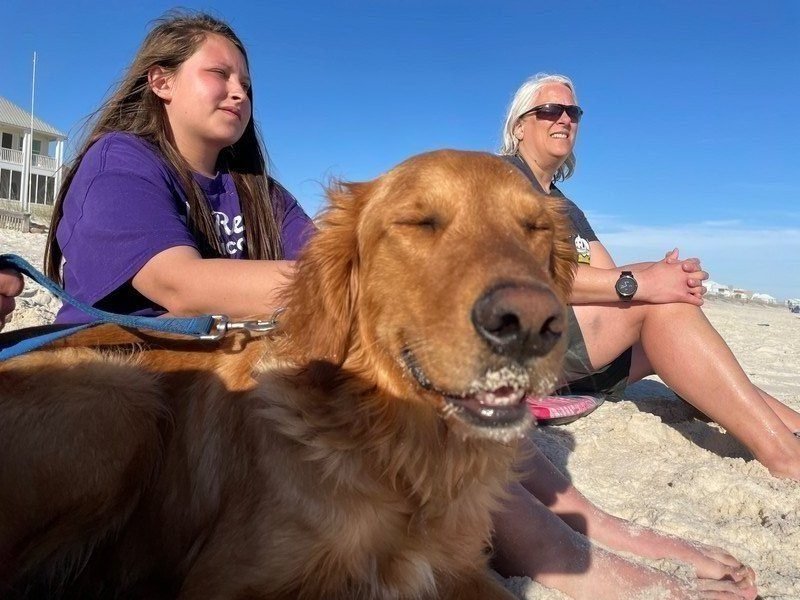 Sandy Pup Enjoys the Beach with Family