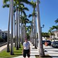 The palms in San Juan
