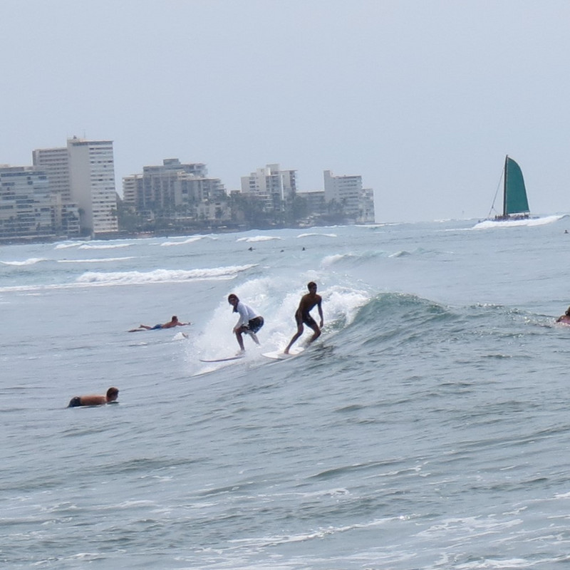 Surfers Waikiki