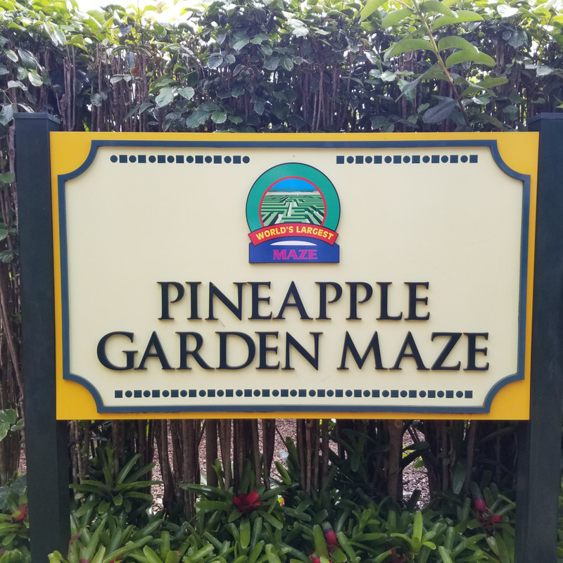 Pineapple Maze 