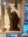 Porcupine at Peabody Essex Museum