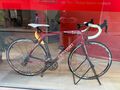 Bike Envy in Trapani